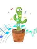 Echo Cactus